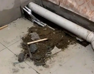 巴楚卫生间漏水检测哪家好