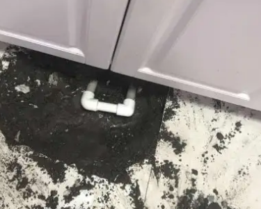 巴楚查漏水哪家好